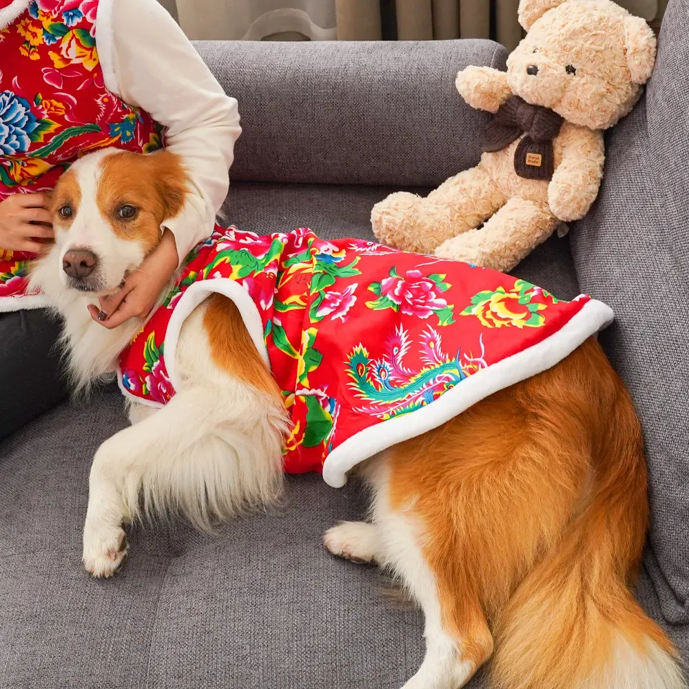 Winter Clothing Name - 2025 kışlık köpek kıyafetleri köpek yüzü