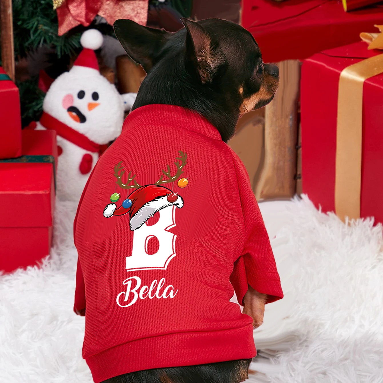 Winter Clothing Name - Kişiselleştirilmiş Noel Pet Köpek Giysileri Özel