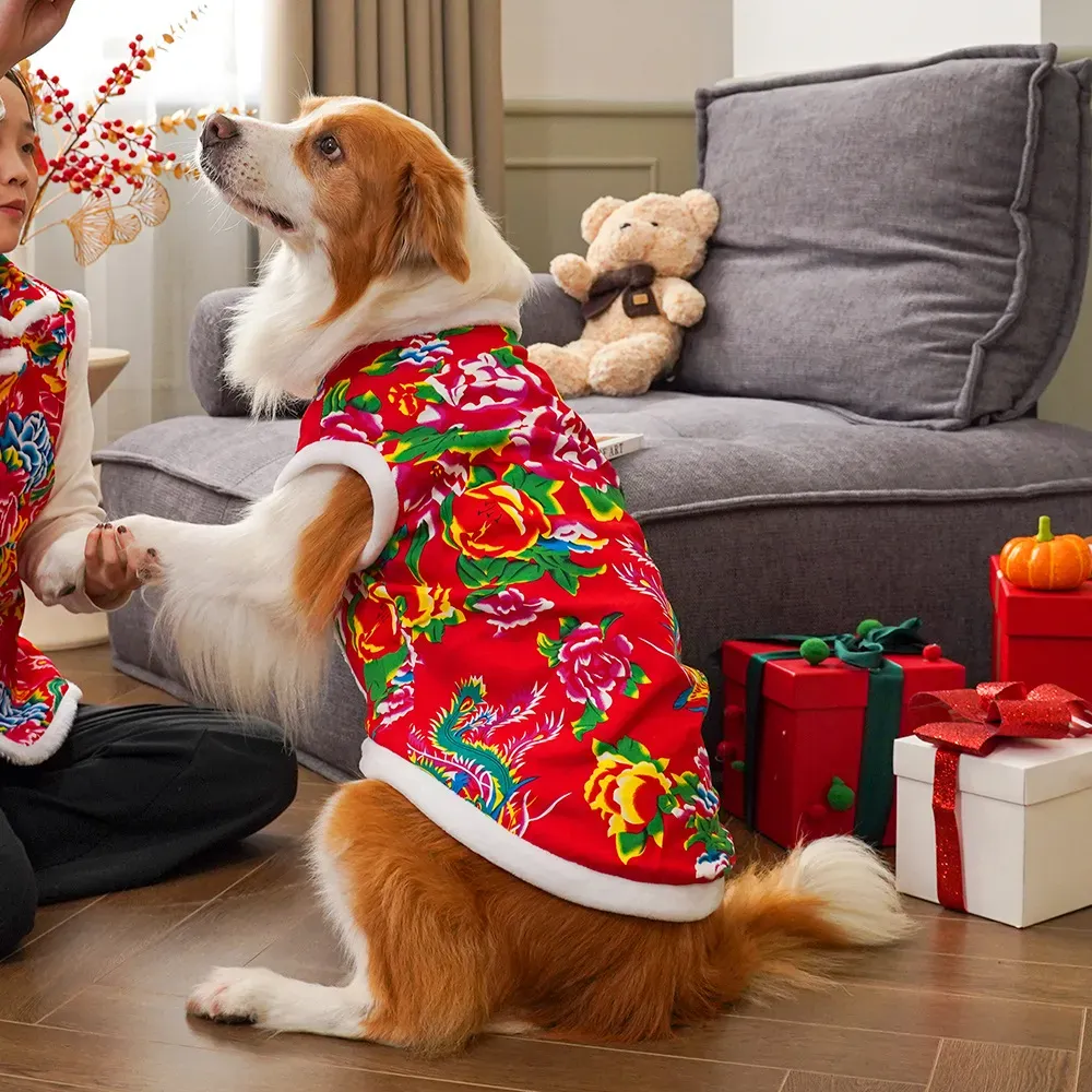 2025 kışlık köpek kıyafetleri  - Winter Clothing Name incelemesi ve fiyatı