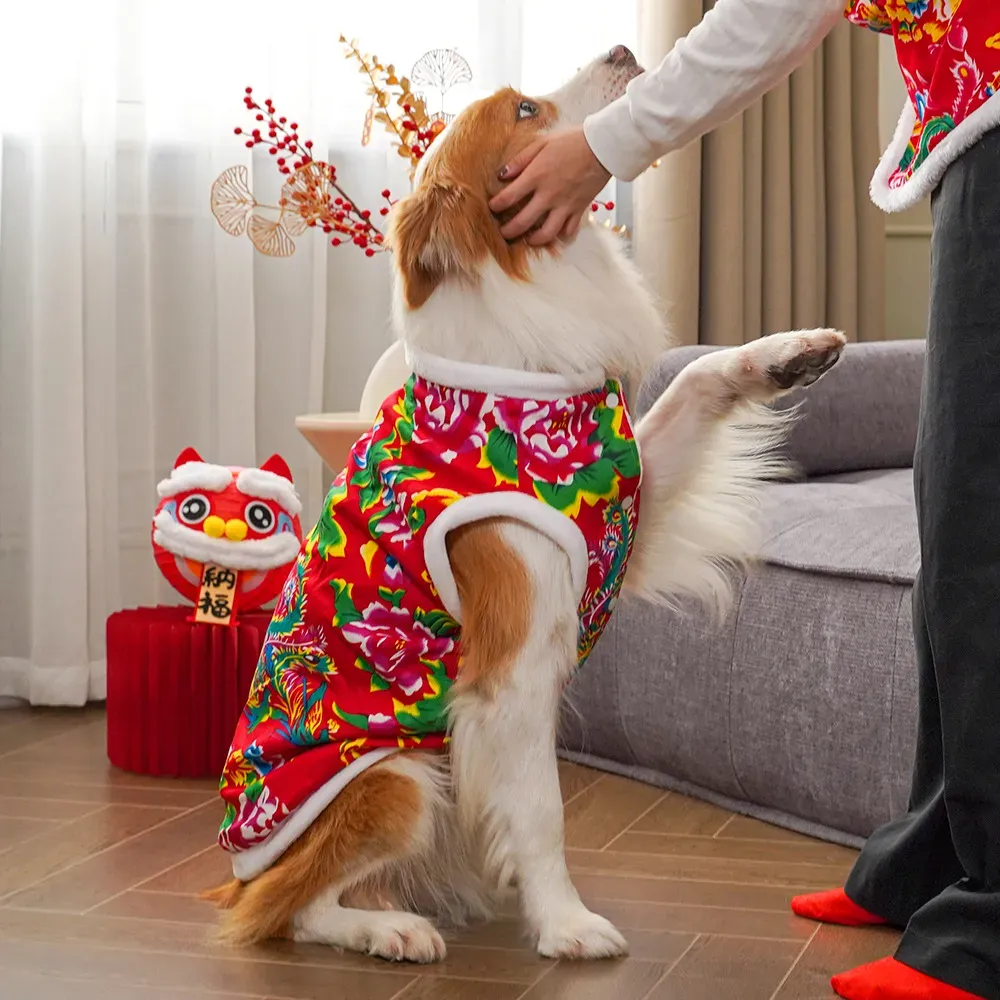 2025 kışlık köpek kıyafetleri  - Winter Clothing Name incelemesi ve fiyatı