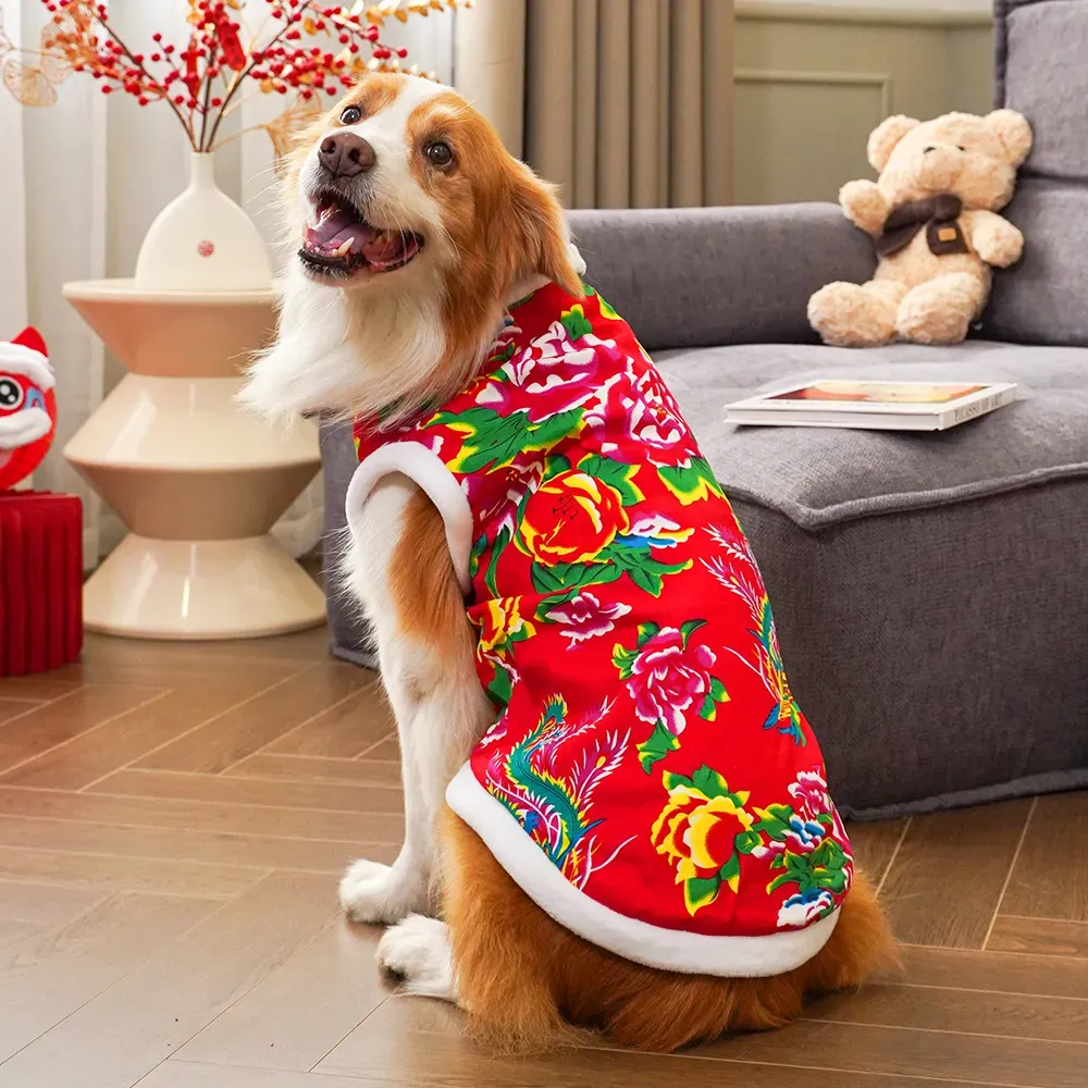 2025 kışlık köpek kıyafetleri  - Winter Clothing Name incelemesi ve fiyatı